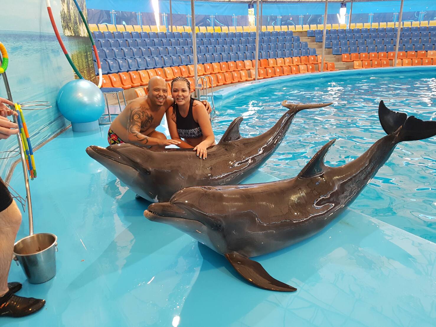 Phuket Dolphins & Sea Lion Shows